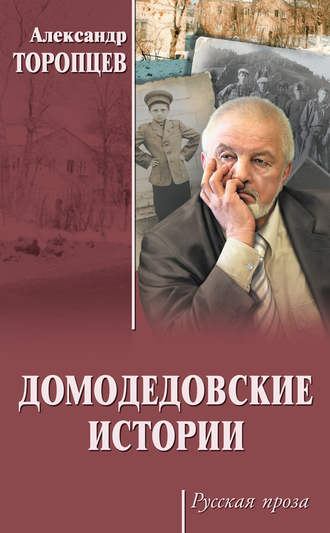 Домодедовские истории (сборник). 
