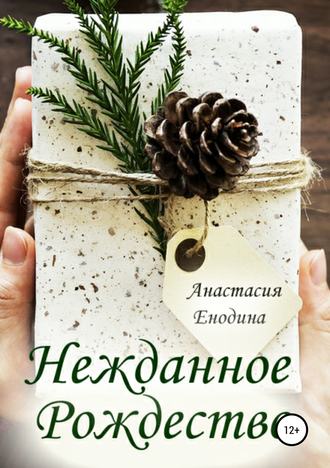 Анастасия Александровна Енодина. Нежданное Рождество