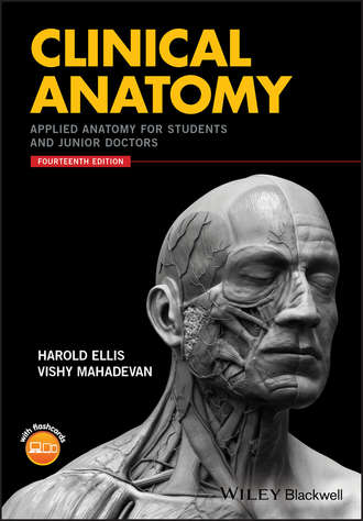 Harold  Ellis. Clinical Anatomy. Applied Anatomy for Students and Junior Doctors