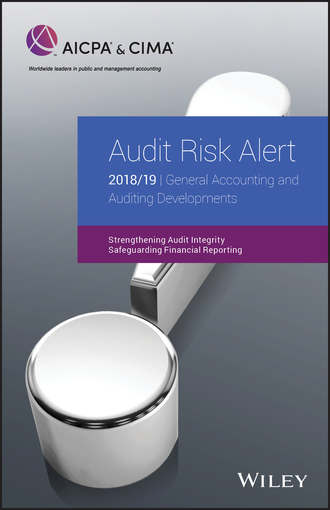 AICPA. Audit Risk Alert: General Accounting and Auditing Developments 2018/19