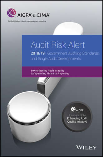 AICPA. Audit Risk Alert. Government Auditing Standards and Single Audit Developments: Strengthening Audit Integrity 2018/19