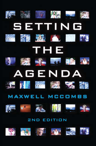 Maxwell  McCombs. Setting the Agenda. Mass Media and Public Opinion