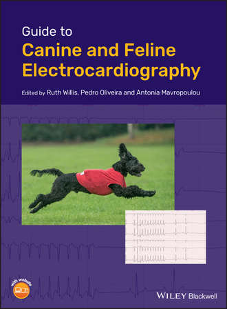 Ruth  Willis. Guide to Canine and Feline Electrocardiography