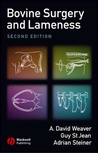 Bovine Surgery and Lameness. Adrian  Steiner
