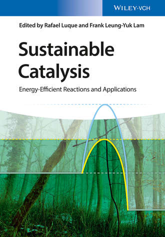 Rafael  Luque. Sustainable Catalysis. Energy-Efficient Reactions and Applications
