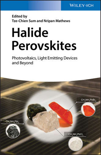 Nripan  Mathews. Halide Perovskites. Photovoltaics, Light Emitting Devices, and Beyond