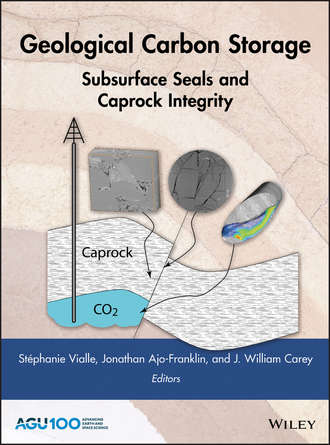 Jonathan  Ajo-Franklin. Geological Carbon Storage. Subsurface Seals and Caprock Integrity