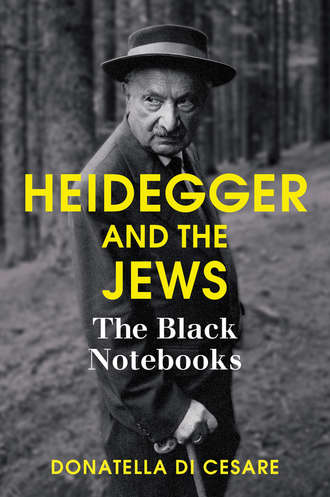 Donatella Cesare Di. Heidegger and the Jews. The Black Notebooks