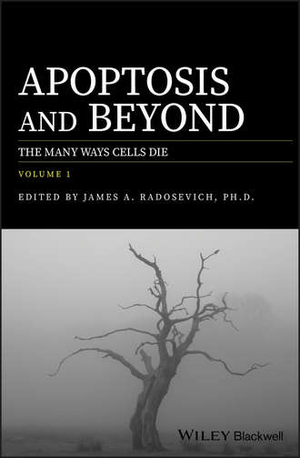 James Radosevich A.. Apoptosis and Beyond. The Many Ways Cells Die