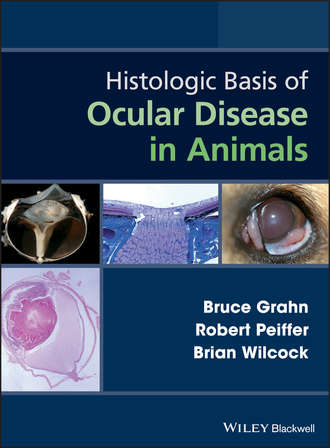 Bruce  Grahn. Histologic Basis of Ocular Disease in Animals