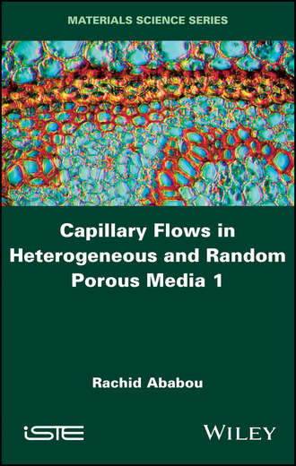 Rachid Ababou. Capillary Flows in Heterogeneous and Random Porous Media