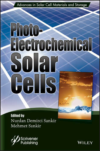 Mehmet  Sankir. Photoelectricochemical Solar Cells
