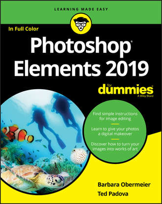 Barbara  Obermeier. Photoshop Elements 2019 For Dummies
