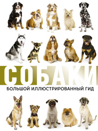 Собаки. Большой иллюстрированный гид. 