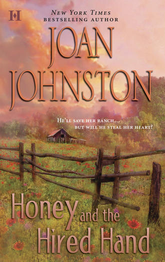 Joan  Johnston. Honey and the Hired Hand