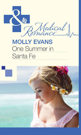 Molly  Evans. One Summer In Santa Fe