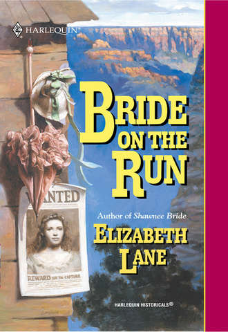 Elizabeth Lane. Bride On The Run