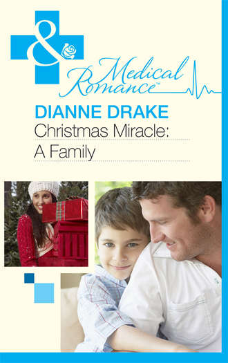 Dianne  Drake. Christmas Miracle: A Family