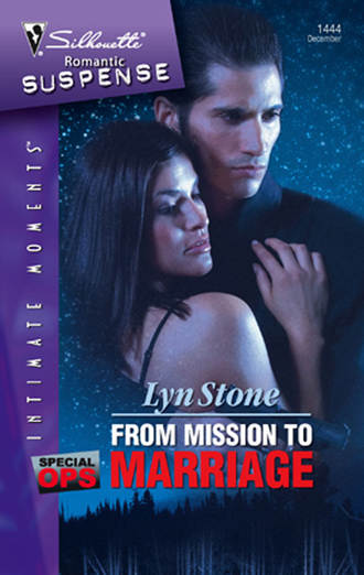 Lyn  Stone. From Mission To Marriage