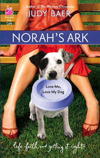 Judy  Baer. Norah's Ark
