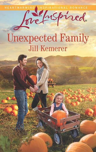 Jill  Kemerer. Unexpected Family