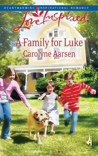 Carolyne  Aarsen. A Family for Luke