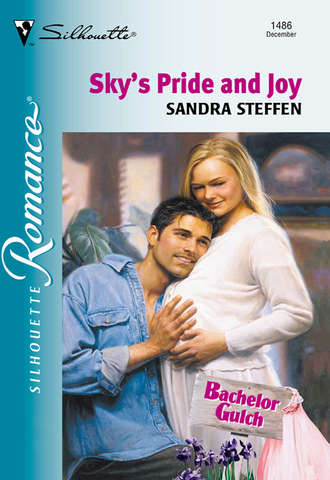 Sandra  Steffen. Sky's Pride And Joy