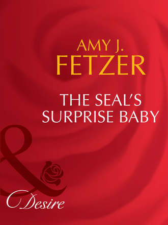 Amy Fetzer J.. The Seal's Surprise Baby