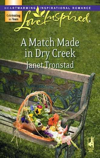 Janet  Tronstad. A Match Made in Dry Creek