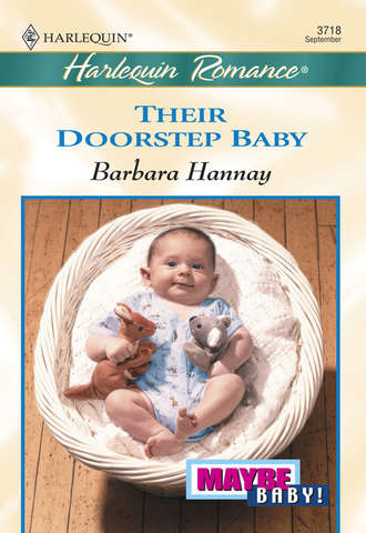 Barbara Hannay. Their Doorstep Baby