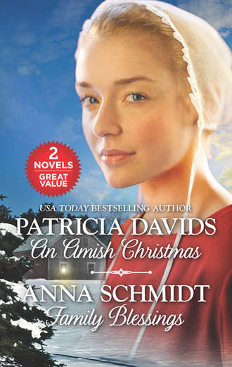 Patricia  Davids. An Amish Christmas