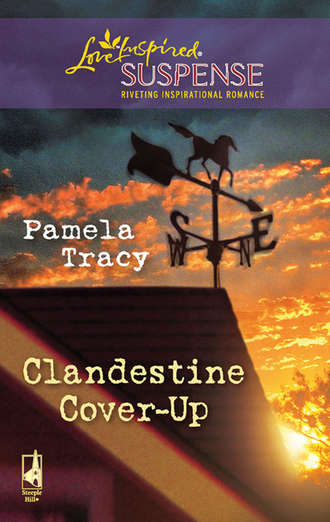 Pamela  Tracy. Clandestine Cover-Up