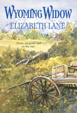 Elizabeth Lane. Wyoming Widow