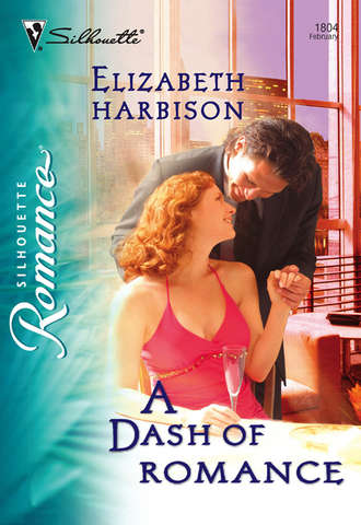 Elizabeth  Harbison. A Dash of Romance