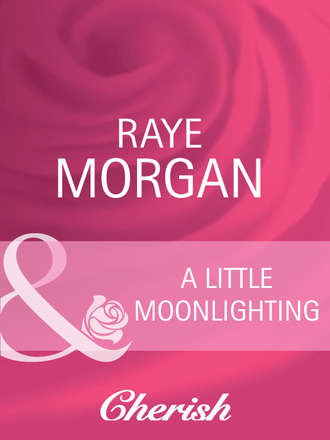 Raye  Morgan. A Little Moonlighting