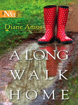 Diane  Amos. A Long Walk Home