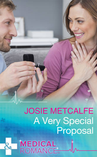 Josie Metcalfe. A Very Special Proposal