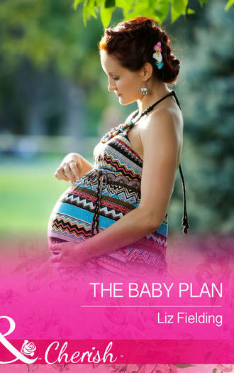 Liz Fielding. The Baby Plan