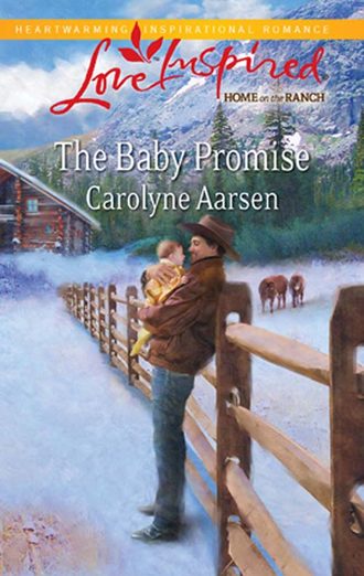 Carolyne  Aarsen. The Baby Promise