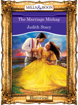 Judith  Stacy. The Marriage Mishap