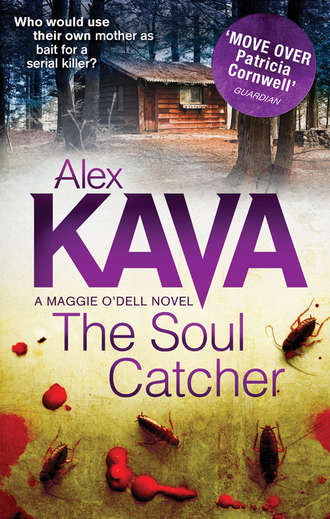 Alex  Kava. The Soul Catcher