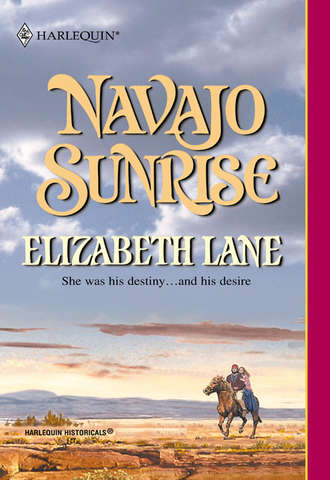 Elizabeth Lane. Navajo Sunrise