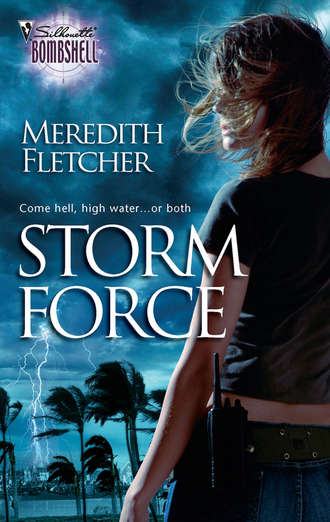 Meredith  Fletcher. Storm Force