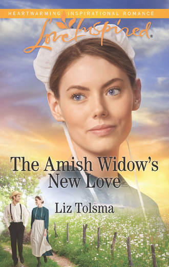 Liz  Tolsma. The Amish Widow's New Love