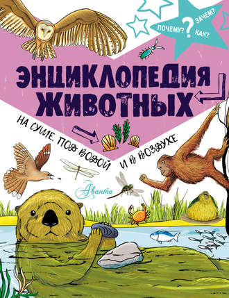 Энциклопедия животных: на суше, под водой и в воздухе. Джон Фарндон