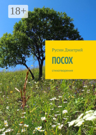 Посох. Стихотворения. Дмитрий Сергеевич Русин