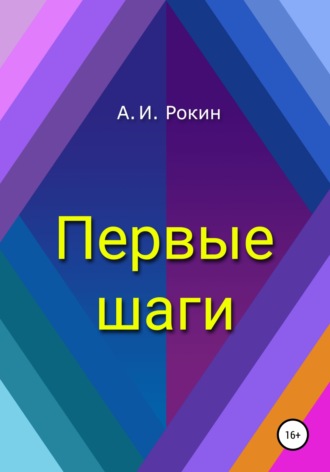 Алексей Игоревич Рокин. Первые шаги