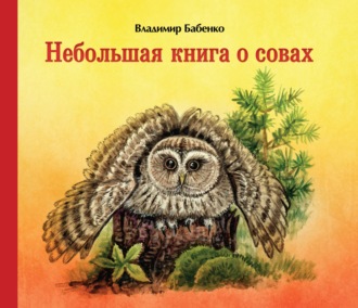 В. Г. Бабенко. Небольшая книга о совах
