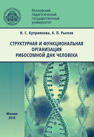 Н. С. Куприянова. Структурная и функциональная организация рибосомной ДНК человека