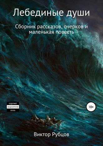 Виктор Николаевич Рубцов. Лебединые души. Сборник рассказов и маленькая повесть